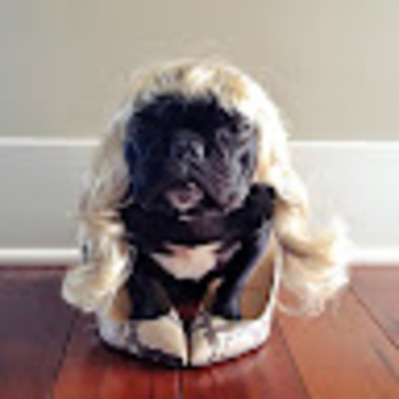 Meet your Posher, Captainpinz - Picture 1 of 1